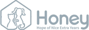 logo-honey1 1